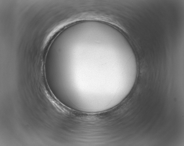 X0000078231507200611030840