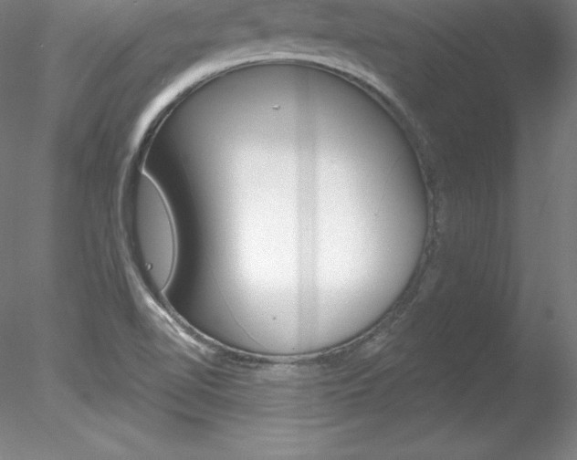 X0000078231510200611030840