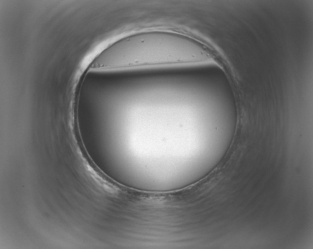 X0000078231512200611030840
