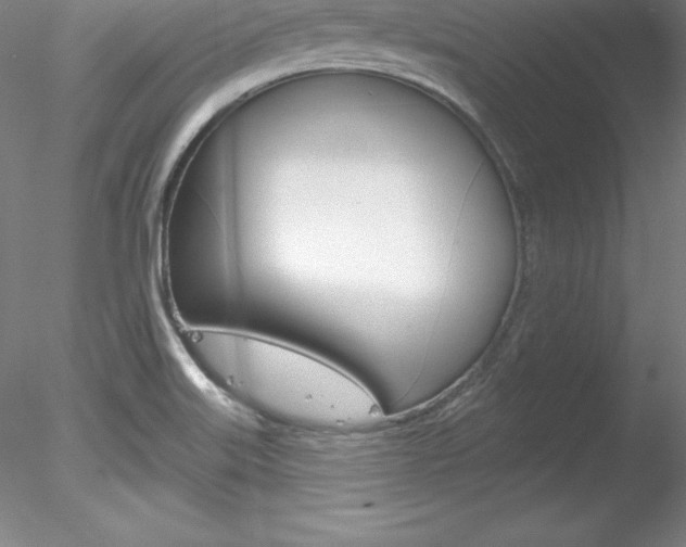 X0000078231515200611030840