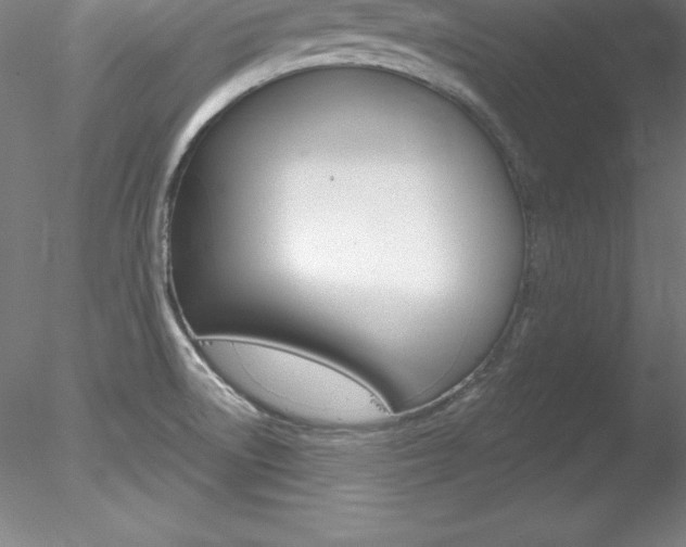 X0000078231522200611030840