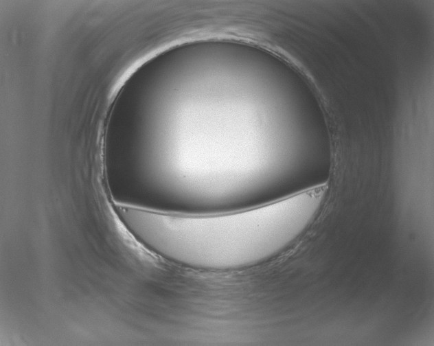 X0000078231524200611030840