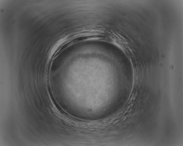 X0000078230003200611031056