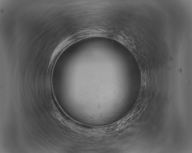 X0000078230004200611031056