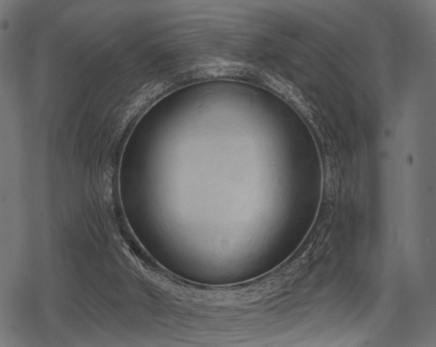 X0000078230010200611031056