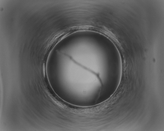 X0000078230013200611031056
