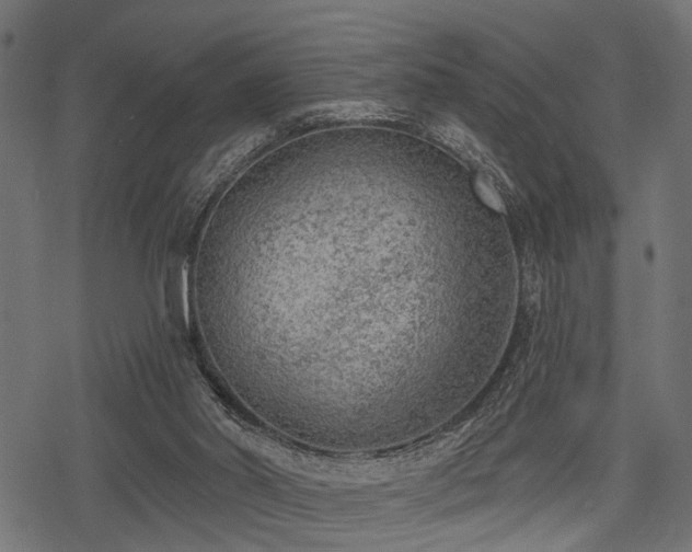 X0000078230014200611031056