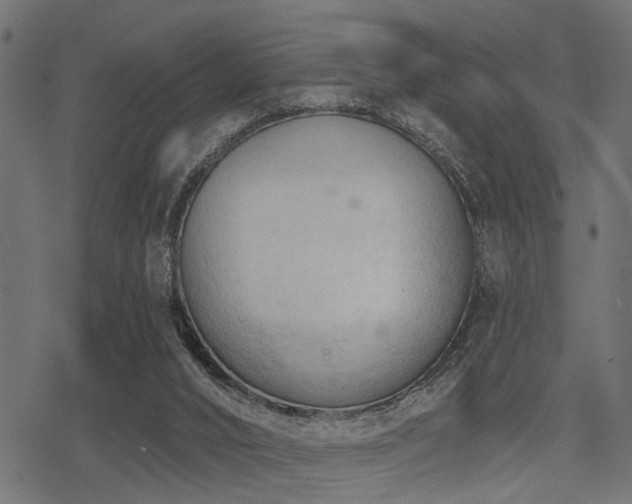 X0000078230016200611031056