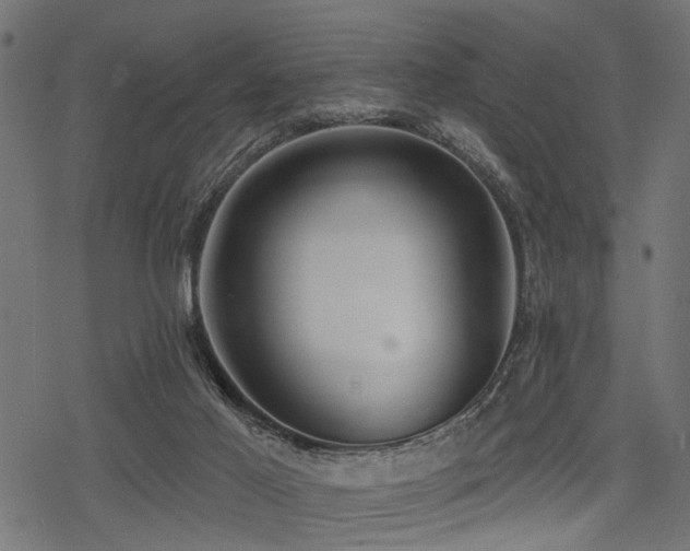 X0000078230021200611031056