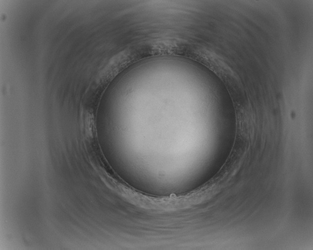 X0000078230038200611031056
