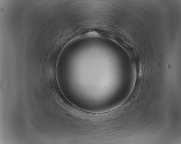 X0000078230039200611031056