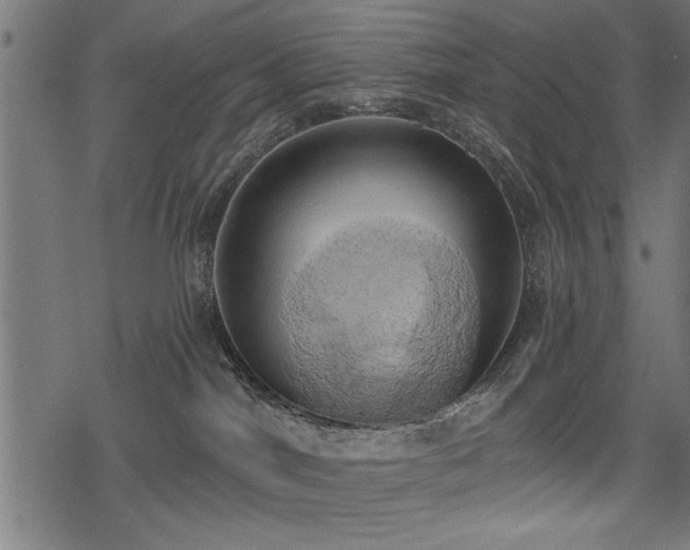 X0000078230044200611031056