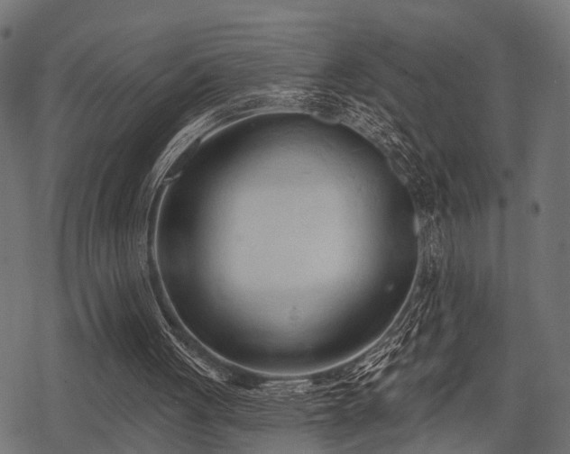 X0000078230051200611031055