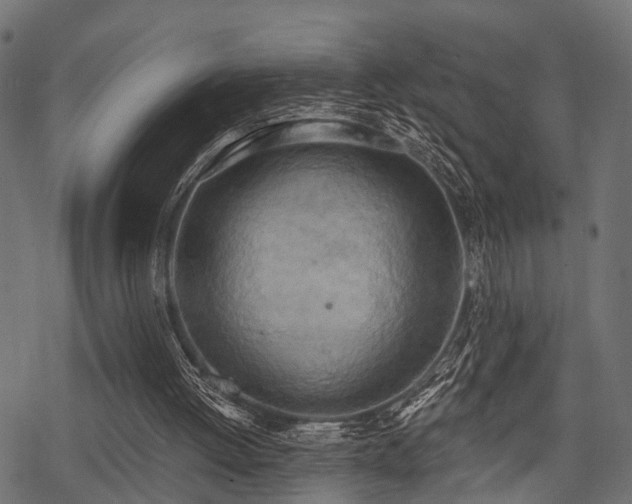 X0000078230052200611031055