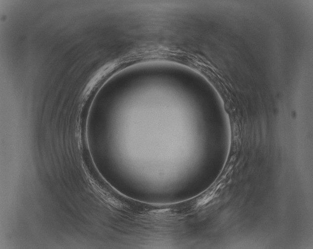 X0000078230054200611031055