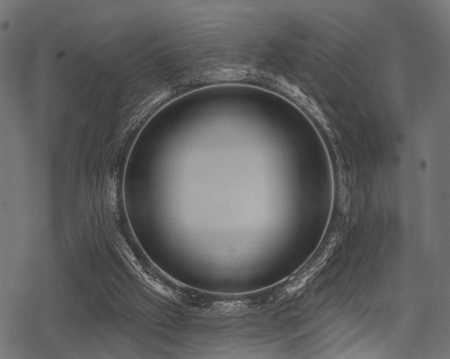 X0000078230057200611031055