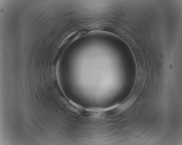 X0000078230096200611031056