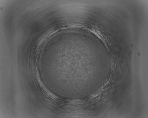 X0000078230097200611031055