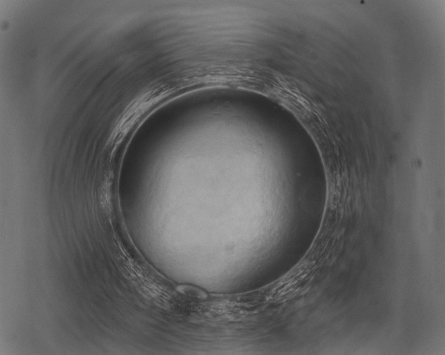 X0000078230098200611031055