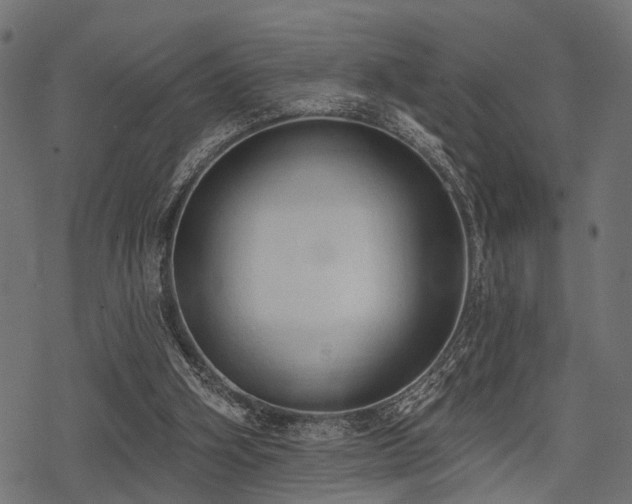 X0000078230106200611031055