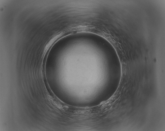 X0000078230147200611031053