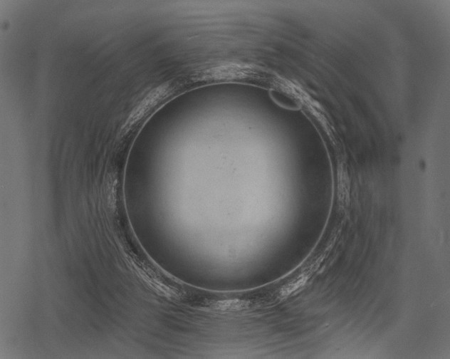 X0000078230153200611031053