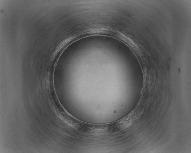 X0000078230155200611031053