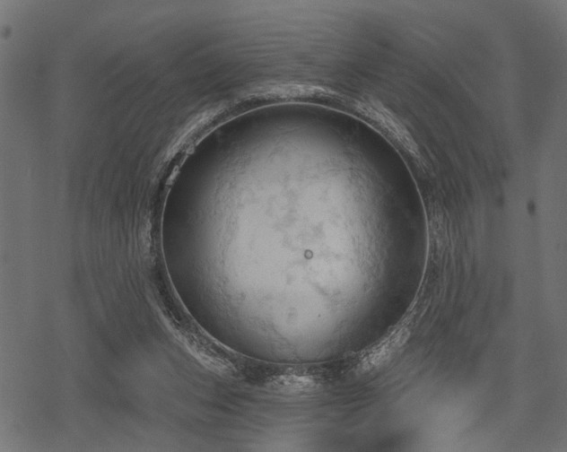 X0000078230159200611031053