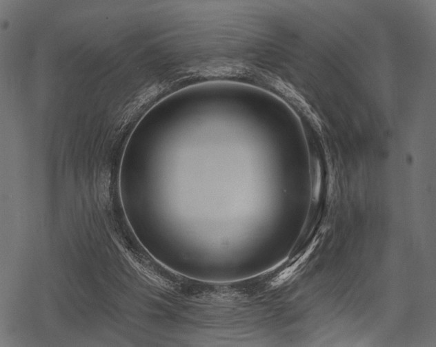 X0000078230201200611031053