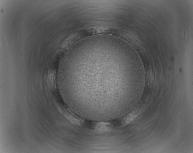 X0000078230222200611031053