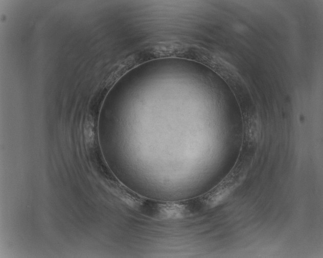 X0000078230226200611031053