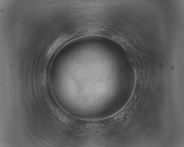 X0000078230242200611031052