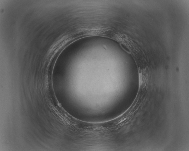 X0000078230243200611031052