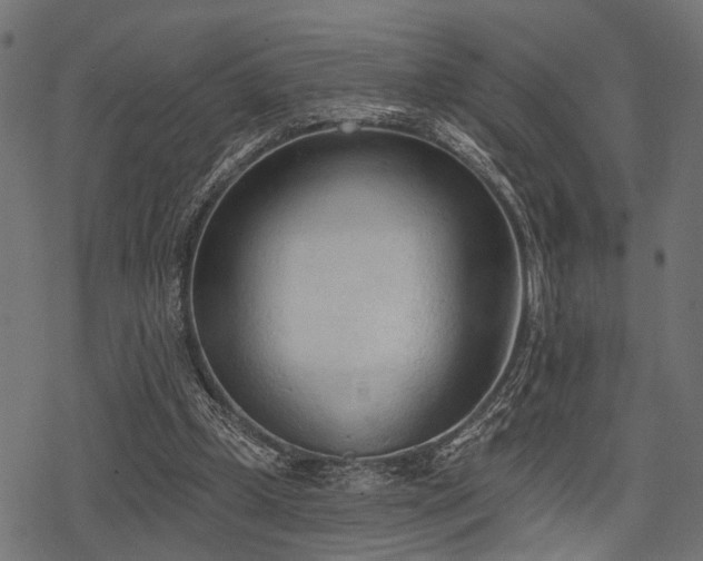 X0000078230249200611031052