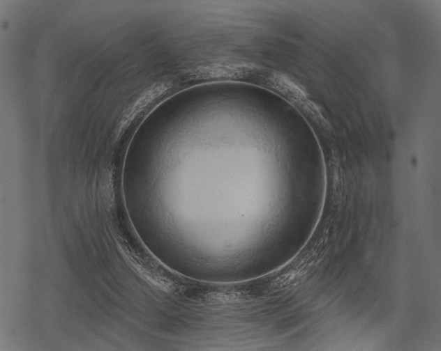 X0000078230250200611031052