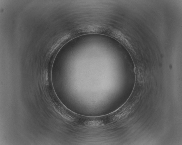 X0000078230251200611031052
