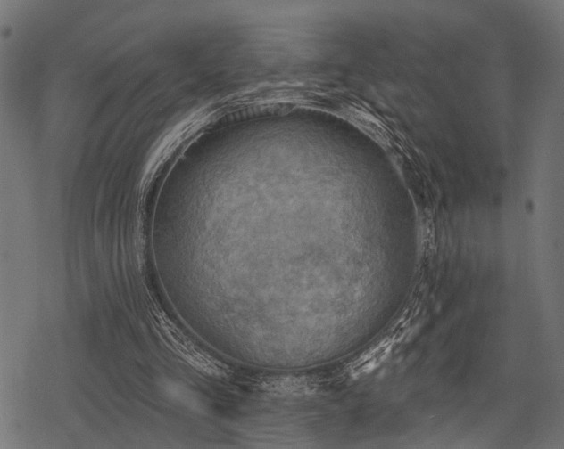X0000078230293200611031052