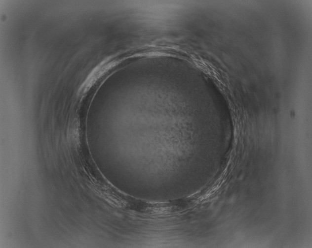X0000078230295200611031052