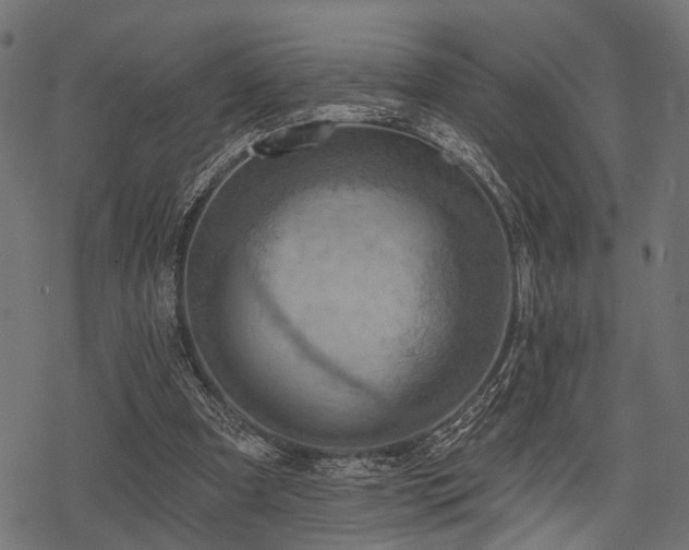 X0000078230297200611031052