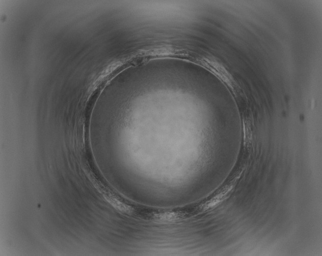 X0000078230301200611031051
