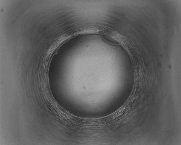 X0000078230337200611031050