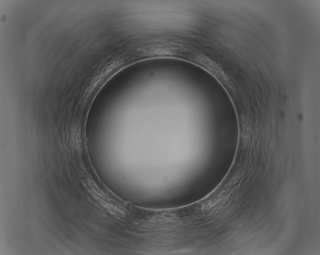 X0000078230386200611031050