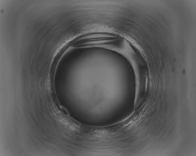 X0000078230391200611031050