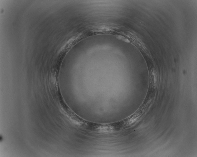 X0000078230415200611031050
