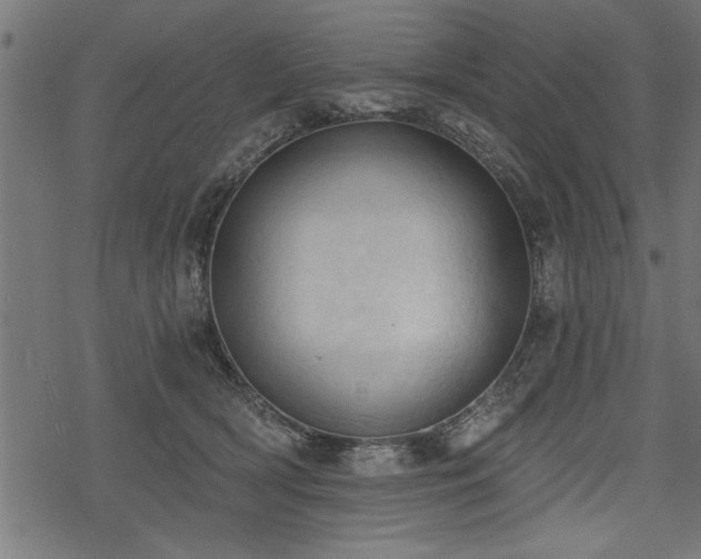 X0000078230418200611031050