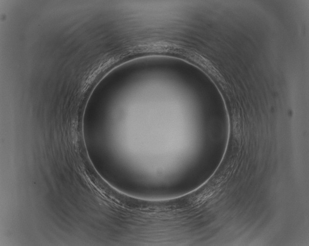 X0000078230434200611031049