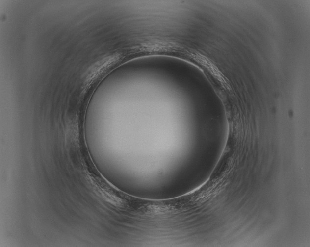 X0000078230442200611031049
