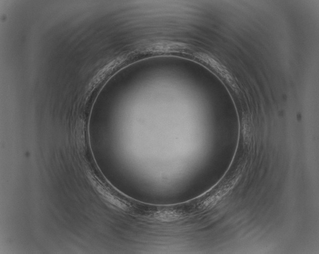 X0000078230445200611031049