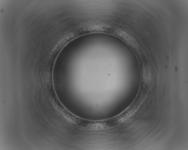 X0000078230449200611031049