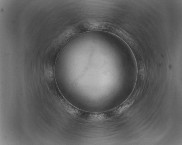 X0000078230469200611031049